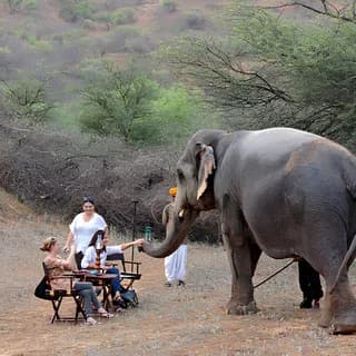Dera Amer, Jaipur
