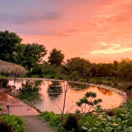 Dhyaana Farms