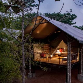 KAAV Safari Lodge, Kabini