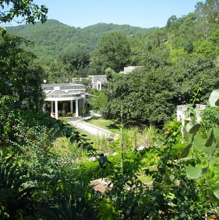 Wild Gardens