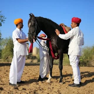 Mihir Garh, Near Jodhpur
