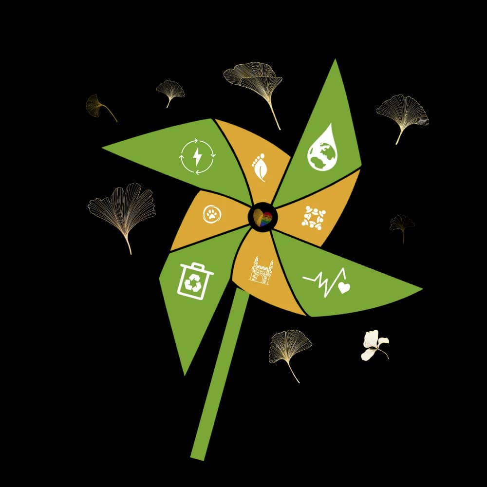 our story pinwheel