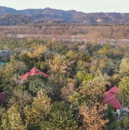 Jim's Jungle Retreat