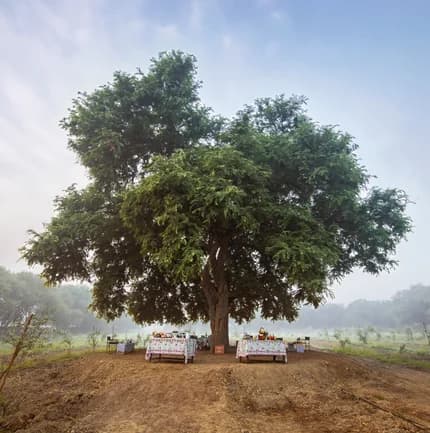 Mela Kothi