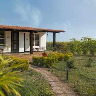 Camp TigerLily, Dudhwa TR