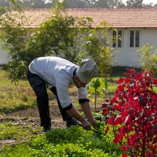 Camp TigerLily, Dudhwa TR