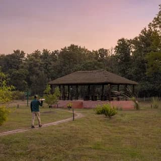 Camp TigerLily, Dudhwa TR