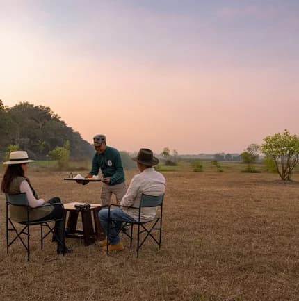Camp Tigerlily