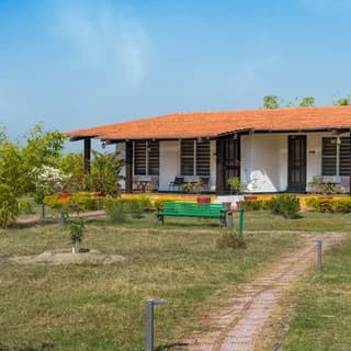 Camp TigerLily, Dudhwa TR