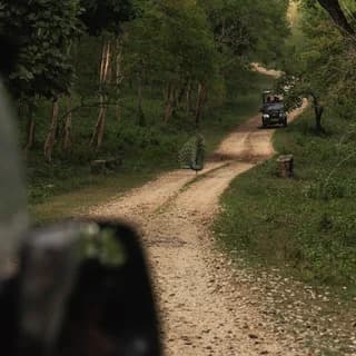 KAAV Safari Lodge, Kabini