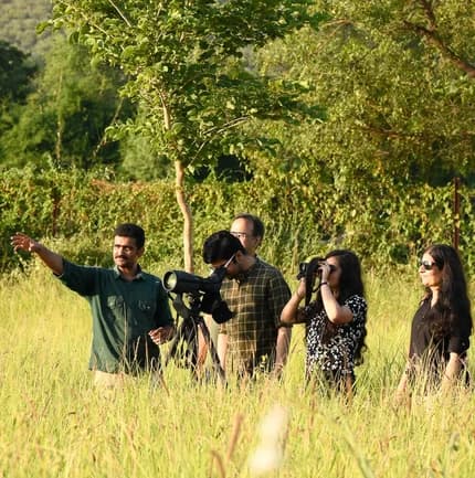 Nature Walk
