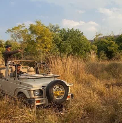 Safari