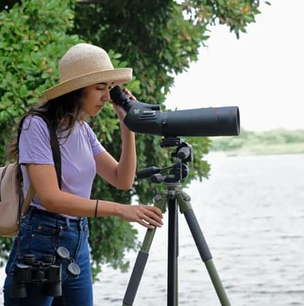 Birdwatching