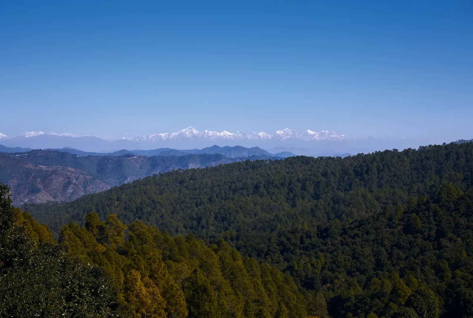 Sitla Estate Destination