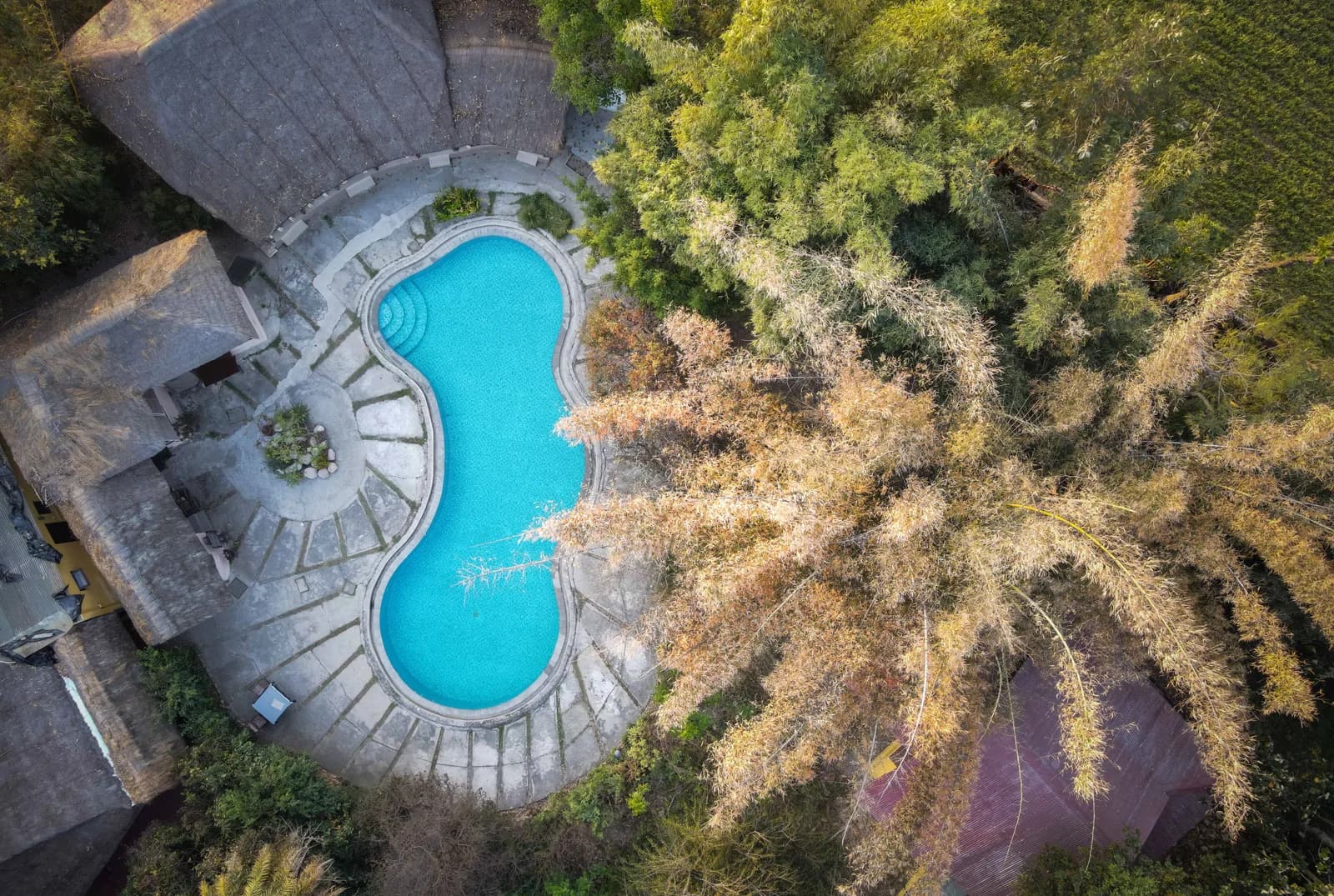 Jim's Jungle Retreat