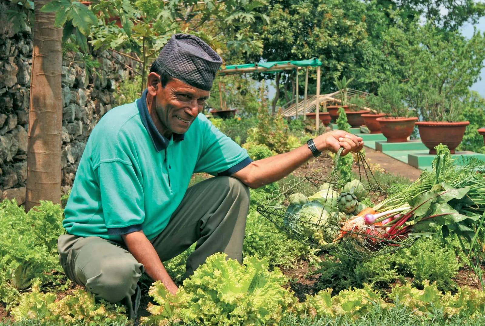 Glenburn Tea Estate