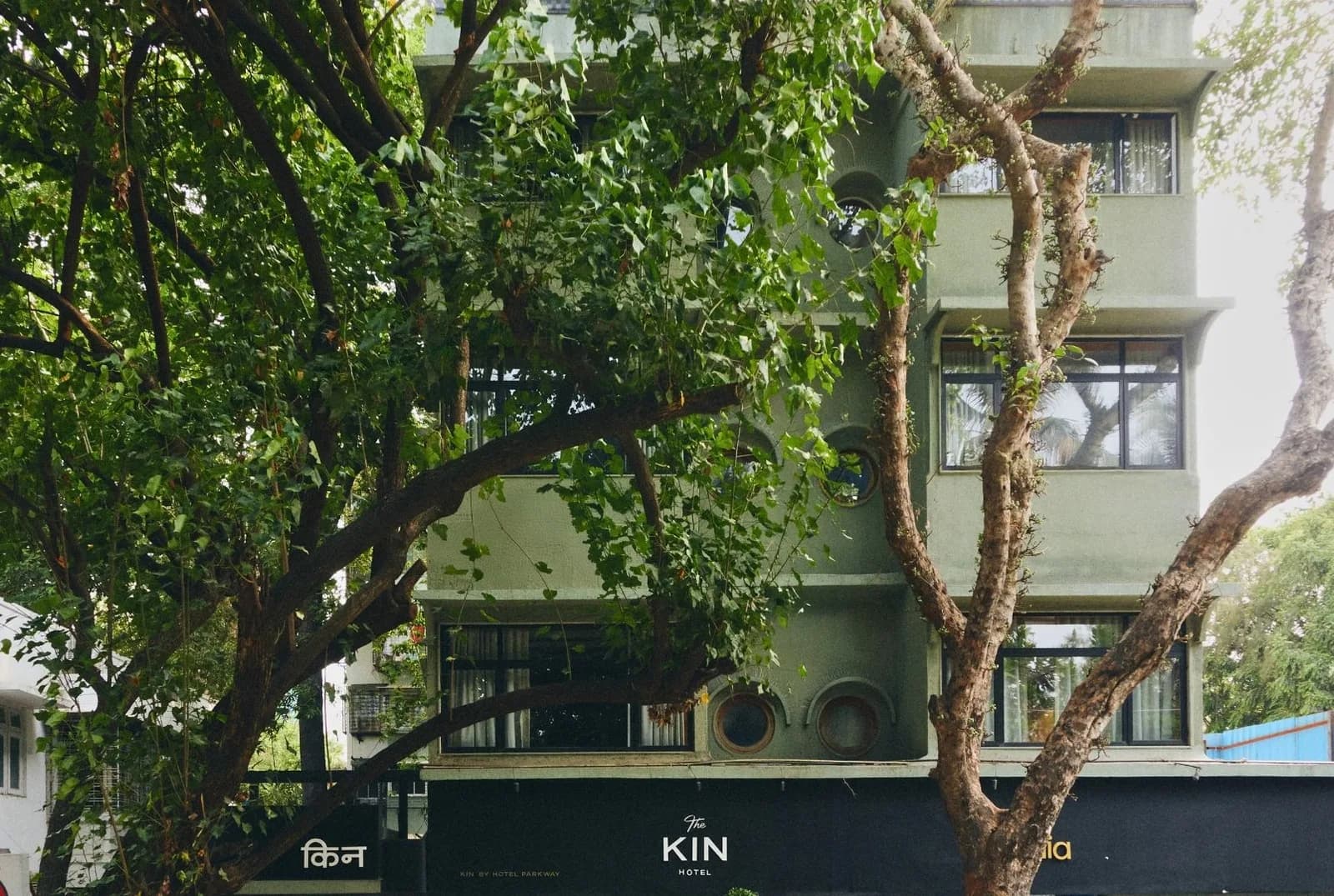 The Kin