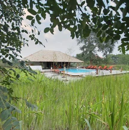 Svasara Jungle Lodge