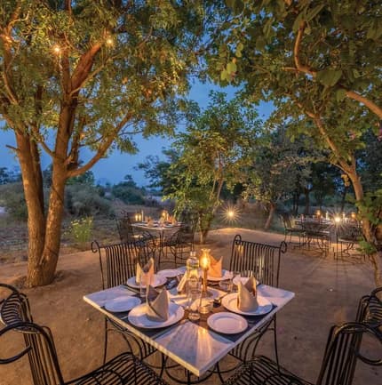 Bera Safari Lodge