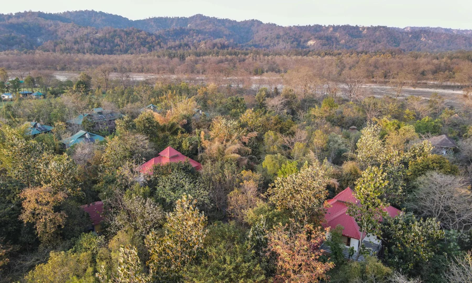 Sustainability Story of Jim’s Jungle Retreat