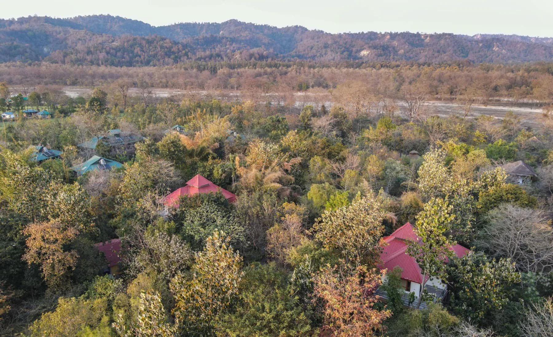 Jim's Jungle Retreat