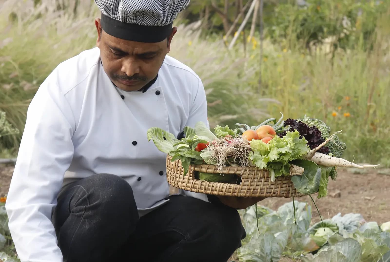 Farm to Table