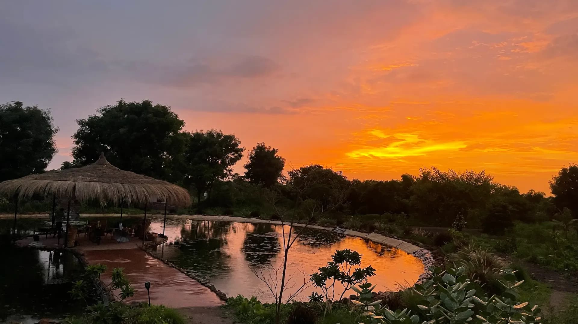 Sustainability Story of Dhyaana Farms