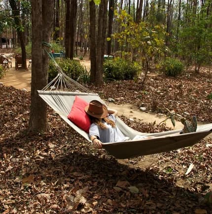Hammock