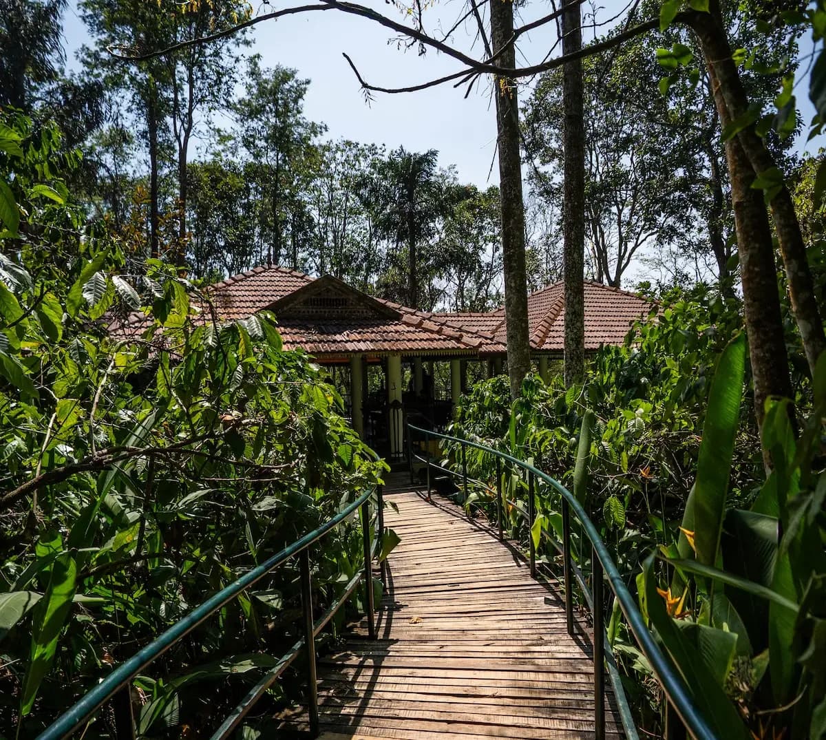Pepper Trail
