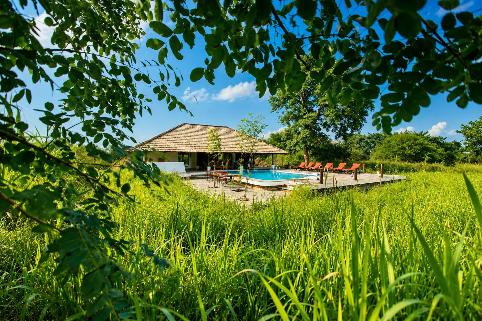 Svasara Jungle Lodge