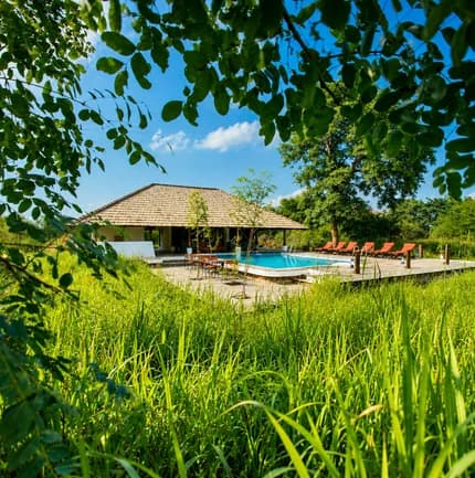 Svasara Jungle Lodge