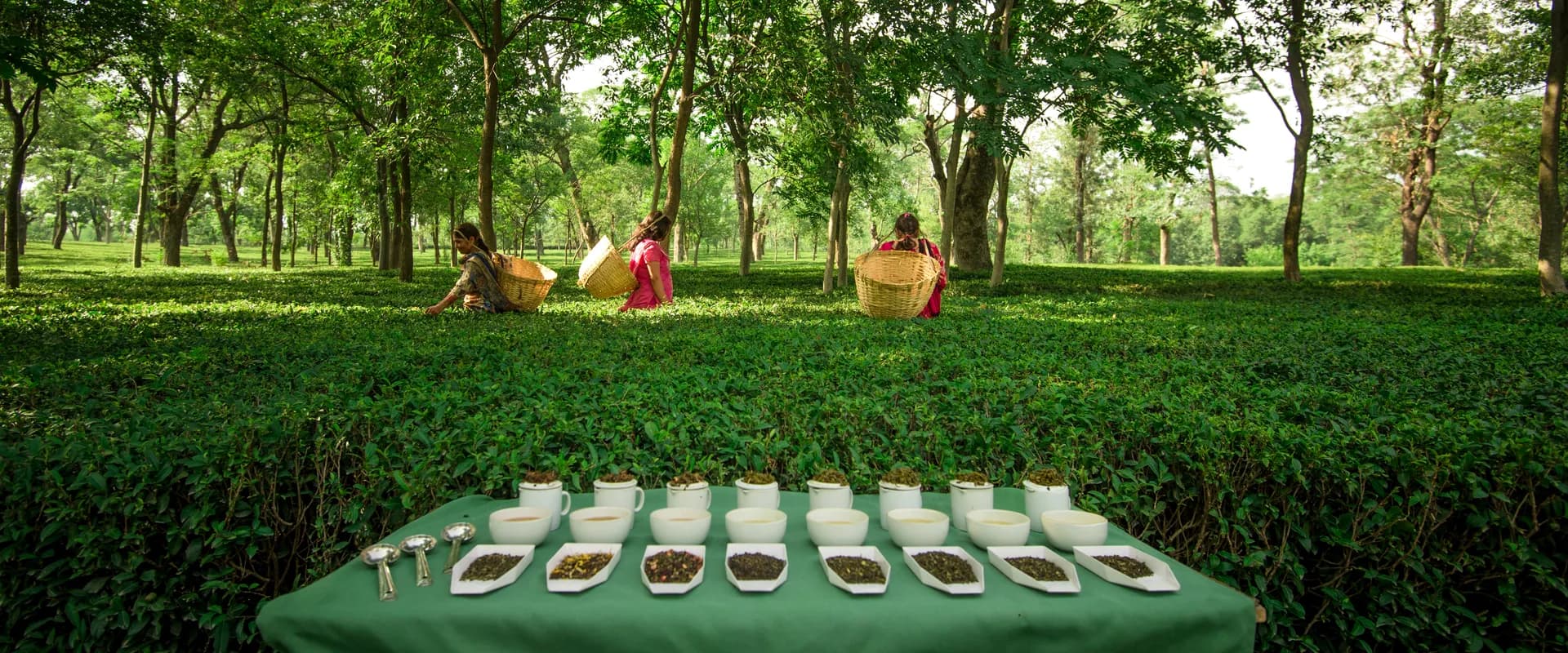 The Lodge at Wah Experience