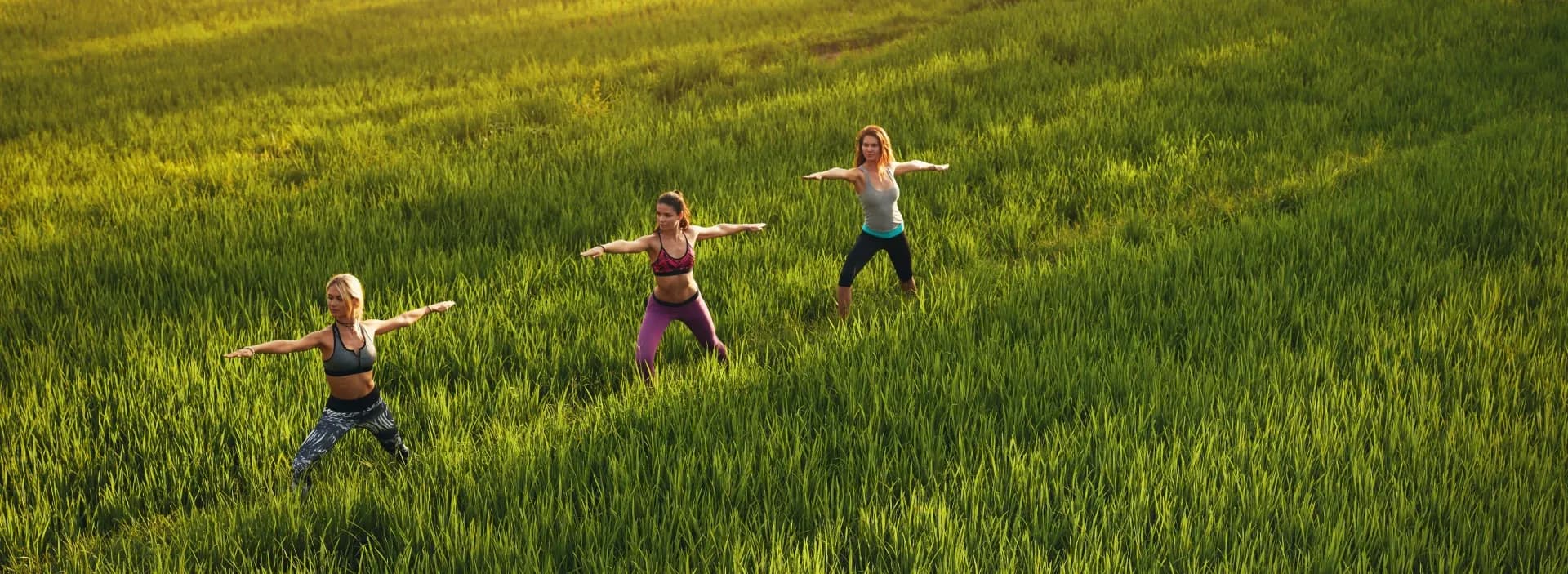 Wellness & Farm Stays